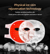 Fittop 373 lifting and firming face beauty device skin rejuvenation led light therapy mask-Fittop Health & Beauty Technology Cp.,Ltd.